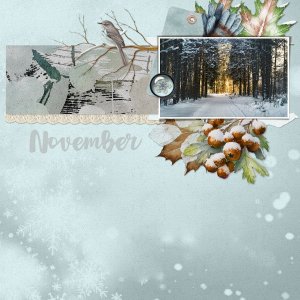 winter.jpg