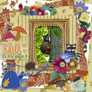 These-Moments-Racoon.jpg