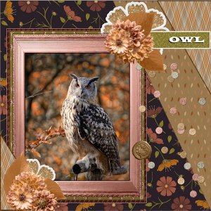 Nov.2025 Template 3 # Challenge-OWL.jpg