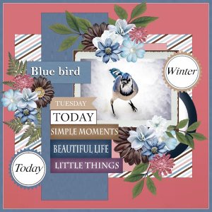 Nov.2025 Template Challenge #2-Winter bird.jpg