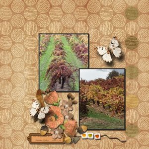 Sonoma Vineyards