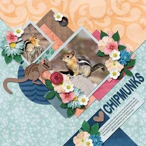 Chipmunks