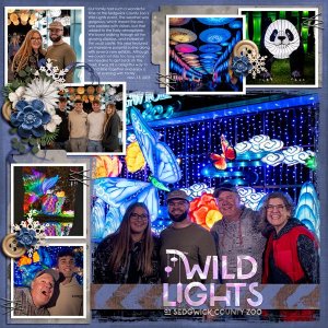 Wild Lights
