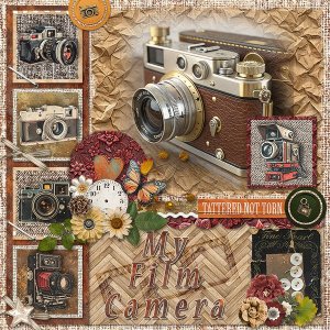 MyFilmCamera_ollitko_600.jpg