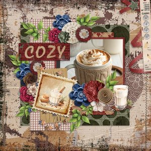 Cozy_ollitko_600.jpg