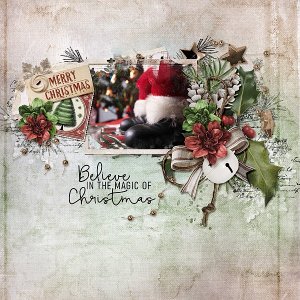 Believe in the Magic of Christmas