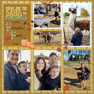 Pumpkin Patch Luca 25