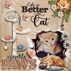 Purrfectly Loved
