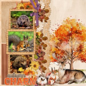 autumn charm.jpg