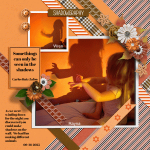 Shadowgraphy-R.gif