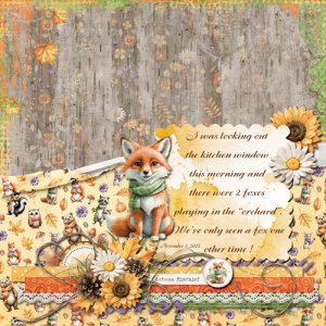 Foxes Playing