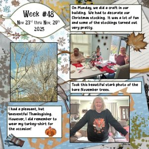 2025 Project 365 Challenge - Week 48.jpg