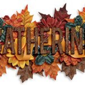 Nov Siggie