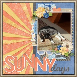 Sunny Days