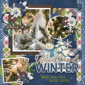 Woodland Winter