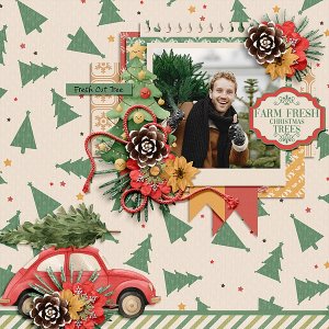 Farm Fresh Trees