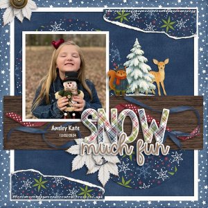 woodland-winter-kit-and-temp-4