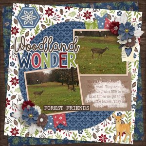 Woodland-Wonder-web.jpg