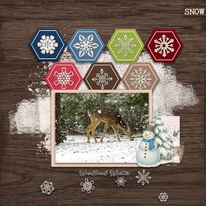 Deer in Snow