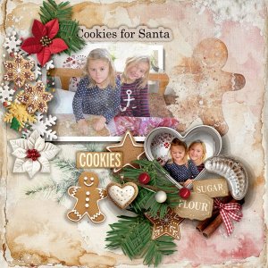 Cookies-for-Santa.jpg