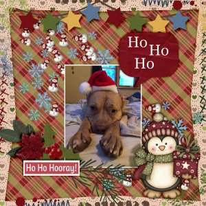 Ho-Ho-Hooray.jpg