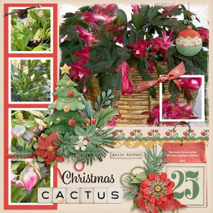 Christmas-CactusMFish_ArtsyBlocks_Merry04_03-copy.jpg