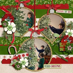 Decorating-the-Tree2.jpg