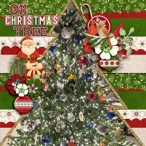 Decorating-the-Tree1.jpg