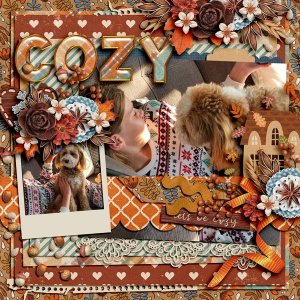Let's Get Cozy