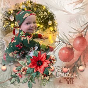 Under The Tree.jpg