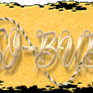 PBSiggyDec2025.png