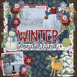 Winter Wonderland