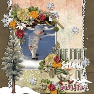 DLPatt_TheFirstSnowOfWinter_web.jpg
