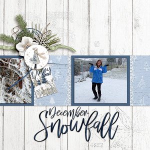 Snow-Day.jpg