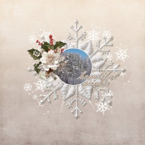 Beautiful winter