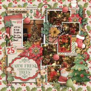 DLPatt_FarmFreshChristmasTrees_web.jpg