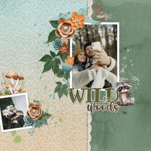 wild woods.jpg
