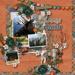 Moose Tracks