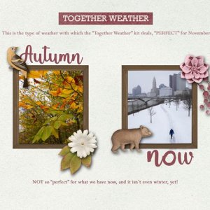 Together Weather