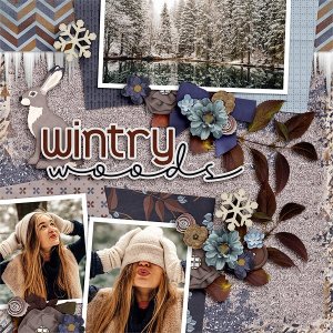 Wintry Woods