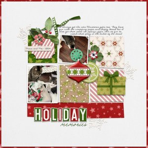 Holiday-Memories.jpg