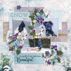 beautiful snow