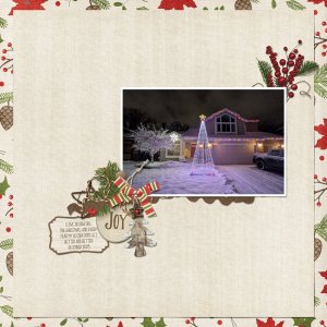 Christmas lights 2025