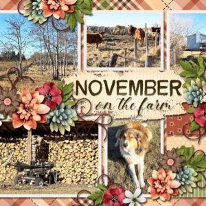 November on the Farm