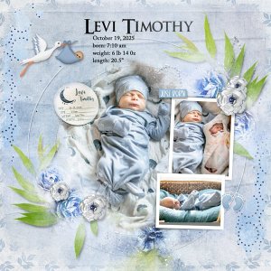 Levi's Birth Day