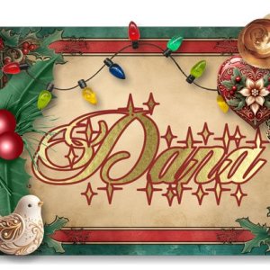 December Siggy