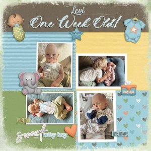 Levi One Week