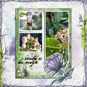 Bees-&-Crown-Flowers-webv.jpg