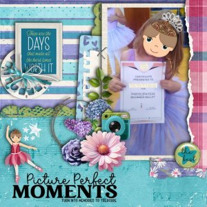 Picture perfect moments turn into memories to treasure