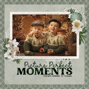 Picture Perfect Christmas